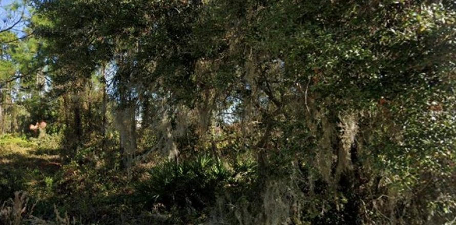 Terreno en Poinciana, Florida № 1909819