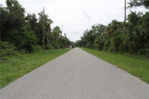 Land in Port Charlotte, Florida № 2162842 - photo 4