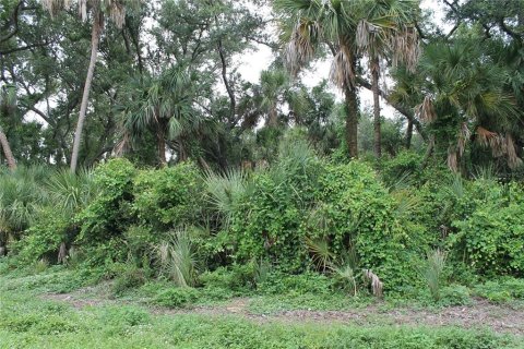Land in Port Charlotte, Florida № 2162842