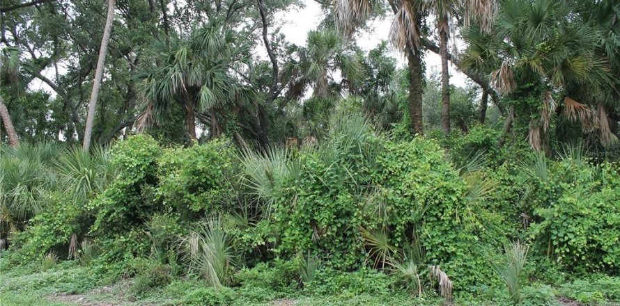 Land in Port Charlotte, Florida № 2162842