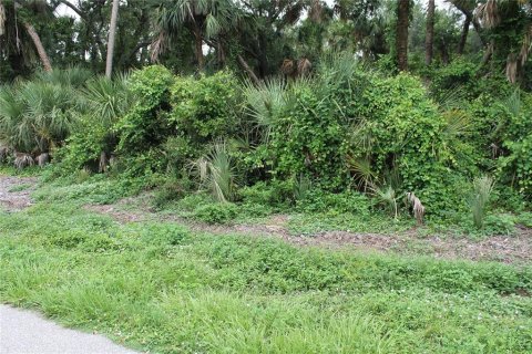 Land in Port Charlotte, Florida № 2162842 - photo 2