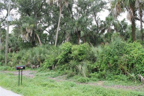 Land in Port Charlotte, Florida № 2162842 - photo 3