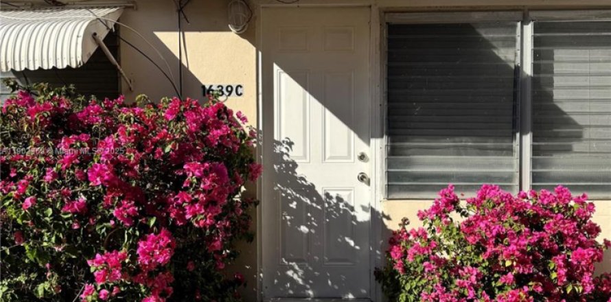 Estudio en Hollywood, Florida № 2015979