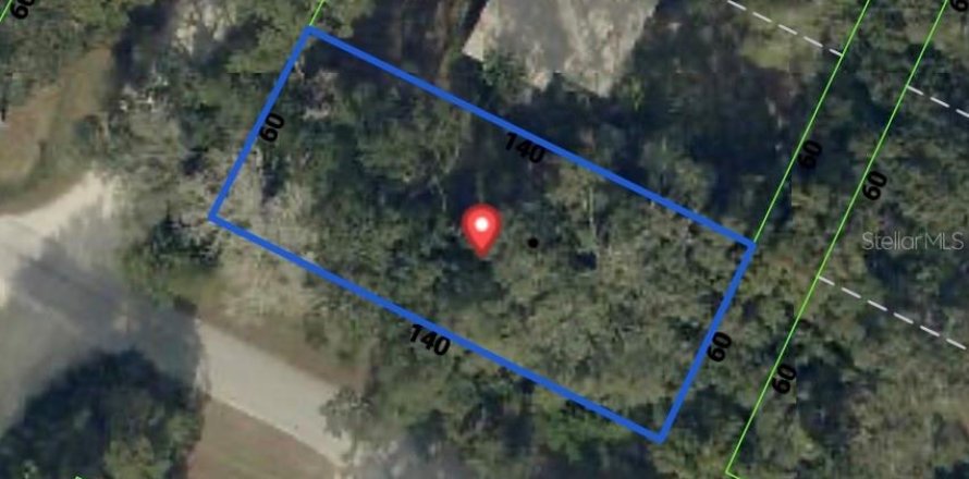 Terreno en Masaryktown, Florida № 2207643