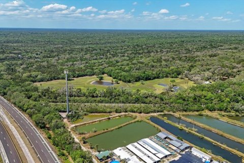 Купить виллу или дом в Ок-Хилл, Флорида 9 комнат, 258.83м2, № 1636899 - фото 7
