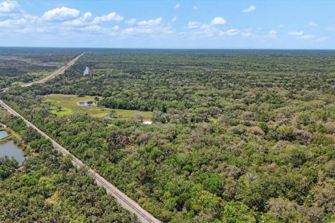 Купить виллу или дом в Ок-Хилл, Флорида 9 комнат, 258.83м2, № 1636899 - фото 9