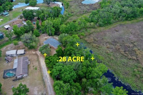 Land in Inverness, Florida № 2163392 - photo 3