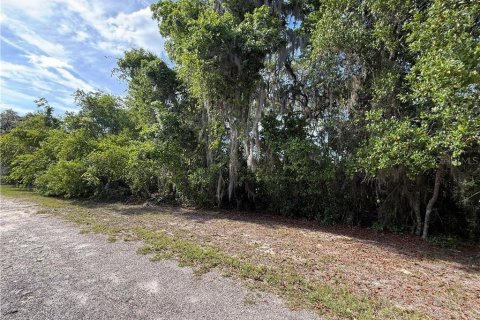 Land in Inverness, Florida № 2163392 - photo 12