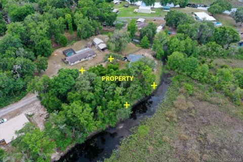 Land in Inverness, Florida № 2163392 - photo 5