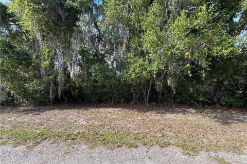 Land in Inverness, Florida № 2163392 - photo 10