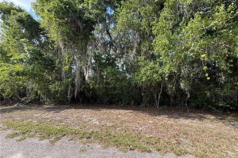 Land in Inverness, Florida № 2163392 - photo 9