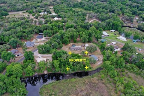 Land in Inverness, Florida № 2163392 - photo 6