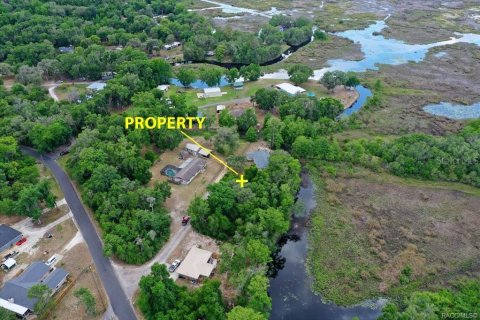 Land in Inverness, Florida № 2163392 - photo 4