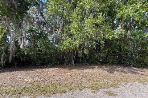 Land in Inverness, Florida № 2163392 - photo 8
