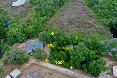 Land in Inverness, Florida № 2163392 - photo 2