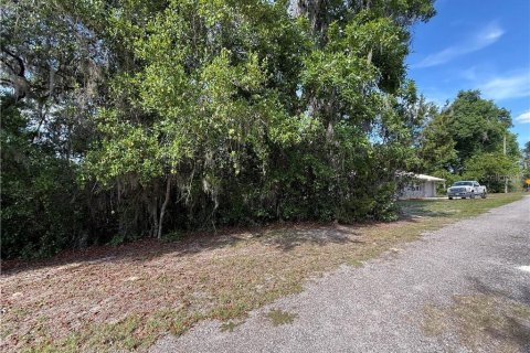 Land in Inverness, Florida № 2163392 - photo 11