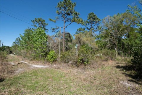 Terrain à New Port Richey, Floride № 2161701