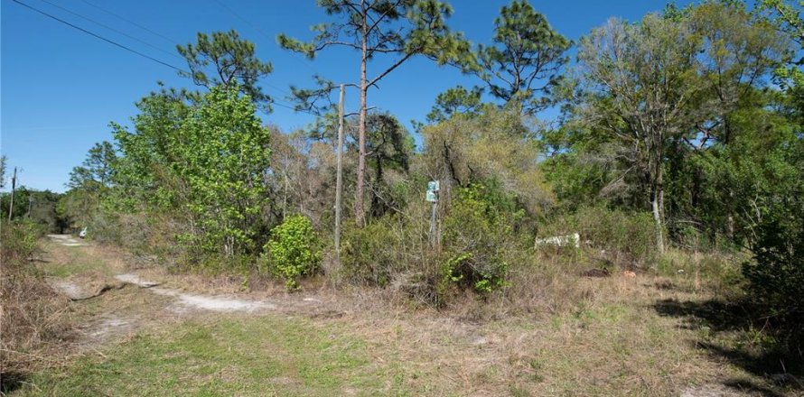 Terrain à New Port Richey, Floride № 2161701