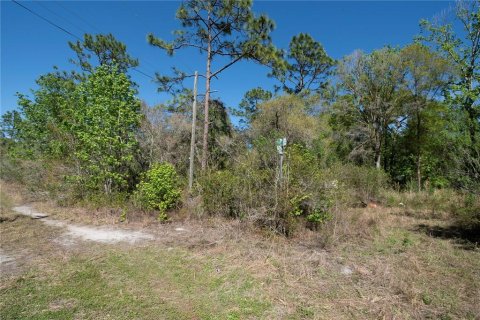 Terrain à vendre à New Port Richey, Floride № 2161701 - photo 4