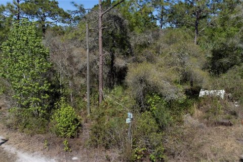 Terrain à vendre à New Port Richey, Floride № 2161701 - photo 6