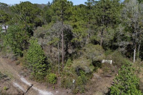 Terrain à vendre à New Port Richey, Floride № 2161701 - photo 5