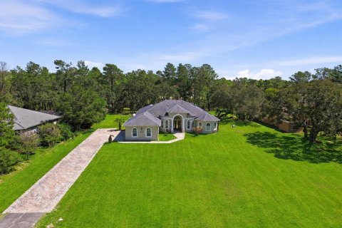 Villa ou maison à vendre à Weeki Wachee, Floride: 4 chambres, 333.61 m2 № 2097088 - photo 2