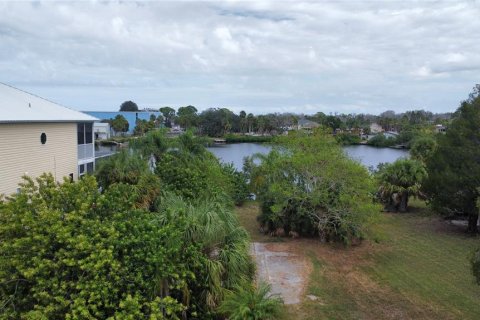 Terrain à vendre à Port Richey, Floride № 745633 - photo 6