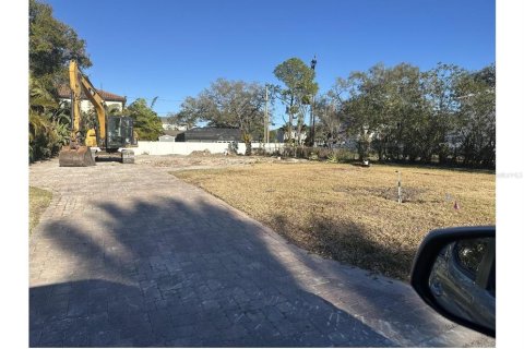 Land in Tampa, Florida № 2213882