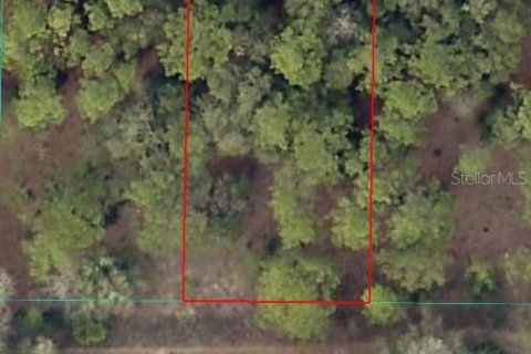 Land in Ocala, Florida № 2165424