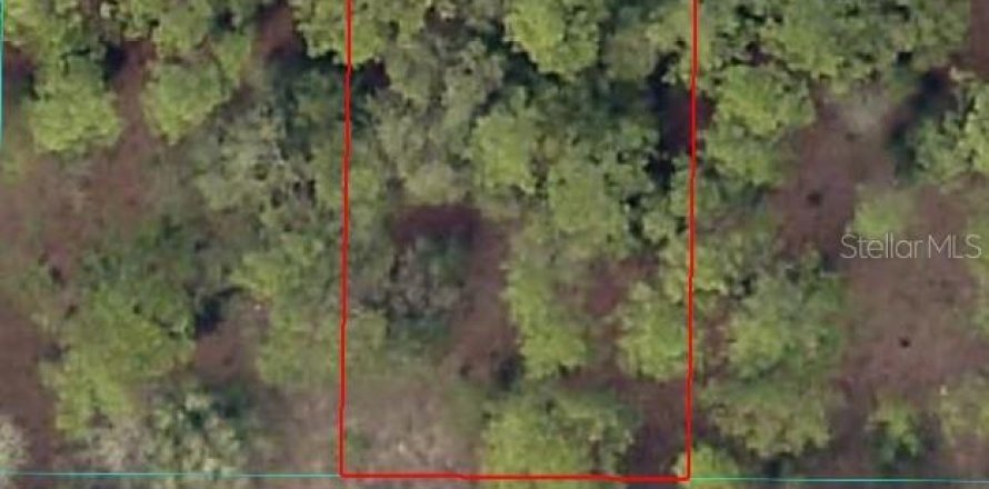 Land in Ocala, Florida № 2165424