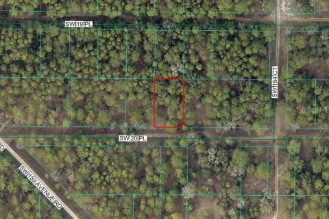 Land in Ocala, Florida № 2165424 - photo 2
