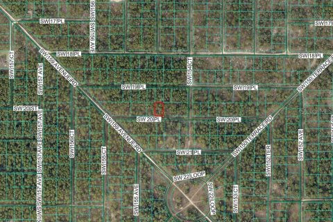Land in Ocala, Florida № 2165424 - photo 3