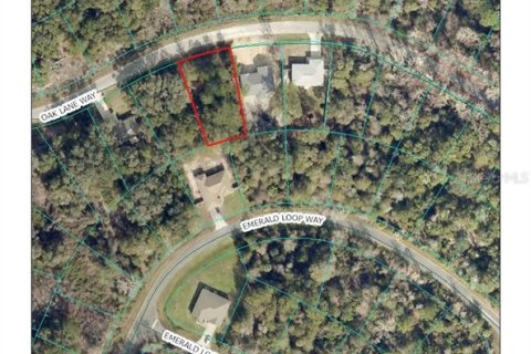 Land in Ocala, Florida № 2371520