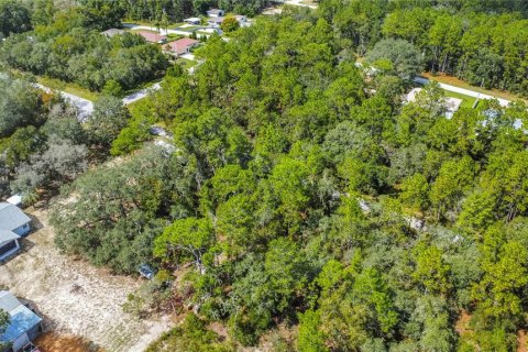 Land in Inverness, Florida № 2163954 - photo 15