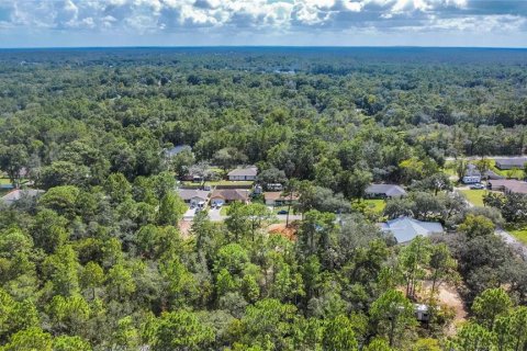 Land in Inverness, Florida № 2163954 - photo 9