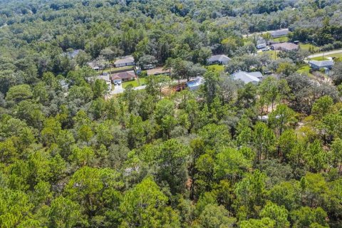 Land in Inverness, Florida № 2163954 - photo 10