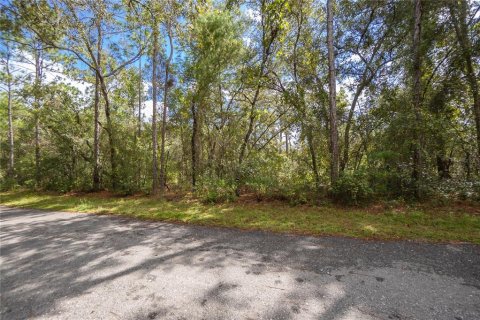 Land in Inverness, Florida № 2163954 - photo 3