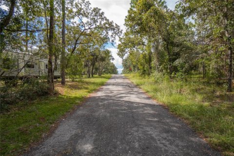 Land in Inverness, Florida № 2163954