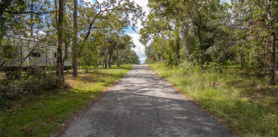 Land in Inverness, Florida № 2163954