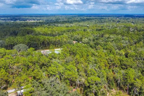 Land in Inverness, Florida № 2163954 - photo 18