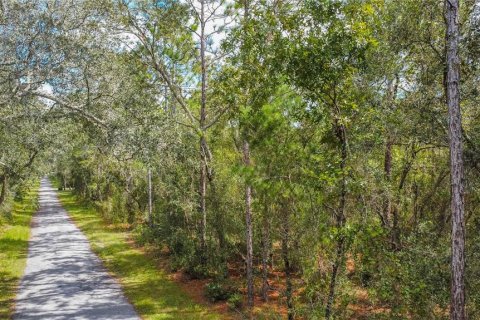 Land in Inverness, Florida № 2163954 - photo 6