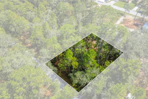 Land in Inverness, Florida № 2163954 - photo 20