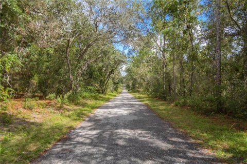 Land in Inverness, Florida № 2163954 - photo 21