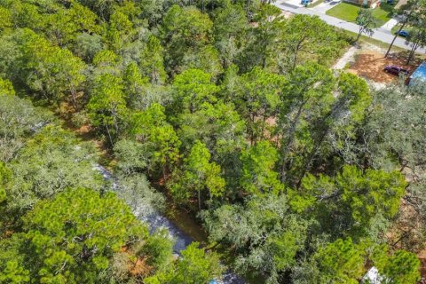 Land in Inverness, Florida № 2163954 - photo 7