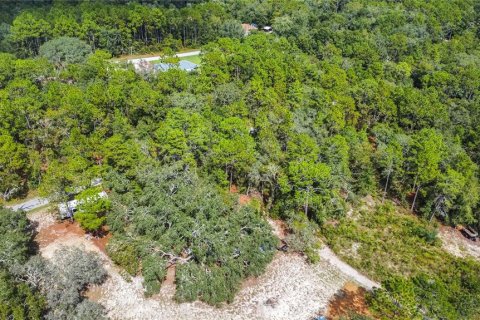 Land in Inverness, Florida № 2163954 - photo 17