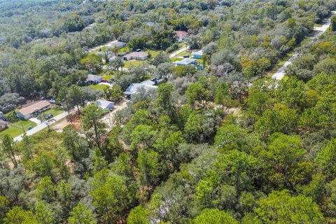 Land in Inverness, Florida № 2163954 - photo 12