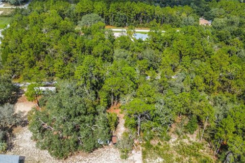 Land in Inverness, Florida № 2163954 - photo 16