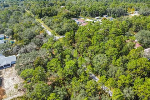 Land in Inverness, Florida № 2163954 - photo 14