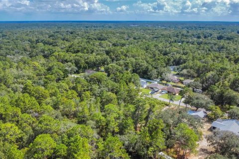 Land in Inverness, Florida № 2163954 - photo 8