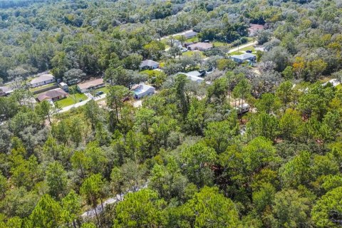 Land in Inverness, Florida № 2163954 - photo 11